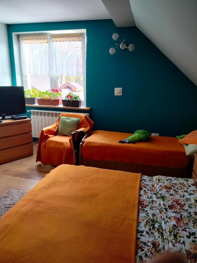 Vila Zgorzanka Istebna Exteriér fotografie