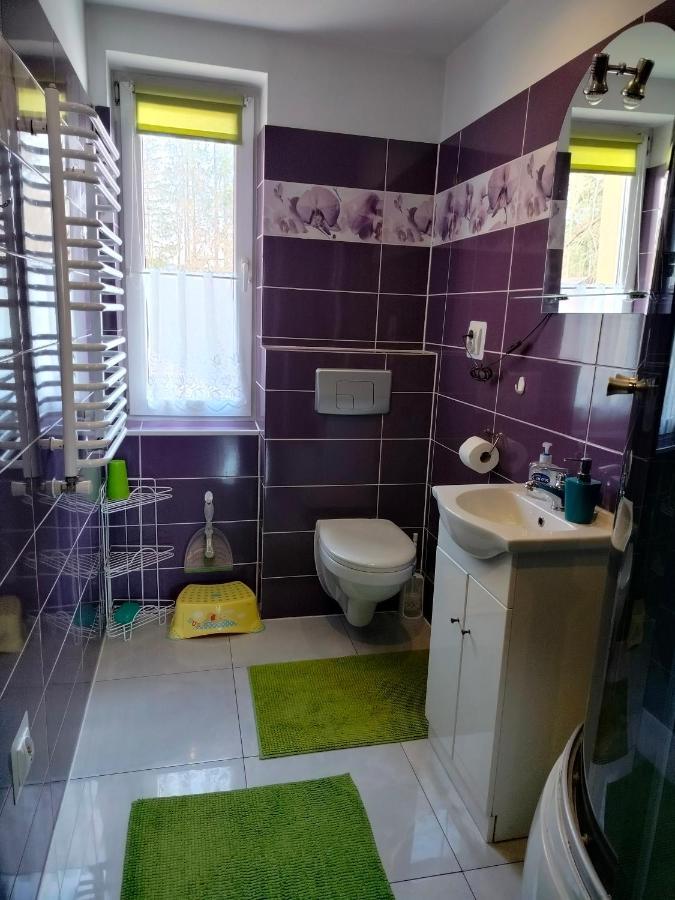 Vila Zgorzanka Istebna Exteriér fotografie